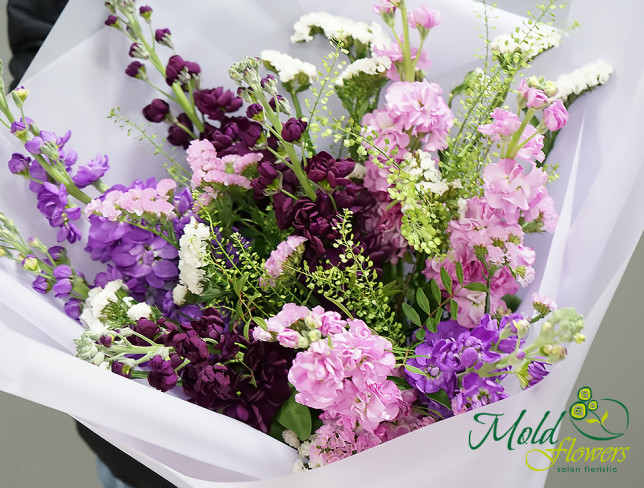 Bouquet of colorful Matthiola, ''Unforgettable Aroma'' photo